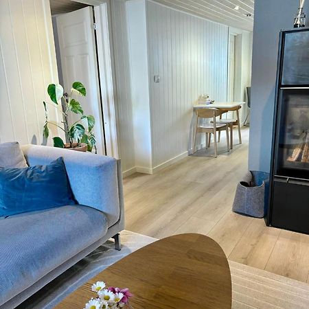 Down Town Apartment With Outside Area In Villa Kristiansand Ngoại thất bức ảnh